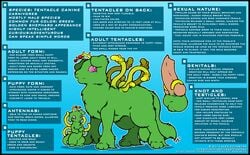 2014 animal_genitalia animal_penis balls canid canine canine_penis duo erection feral fur green_fur knot male mammal model_sheet o-kemono penis purple_eyes tentacle tentacle_dog