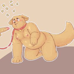 1:1 all_fours anthro balls bfkitsu1550 blush canid canine canis collar domestic_dog erection flaccid foreskin hi_res humanoid_penis leash male mammal moobs navel obese overweight penis simple_background uncut yaoi