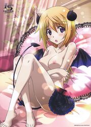 blonde_hair charlotte_dunois female highres infinite_stratos nipples purple_eyes