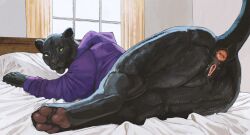 anatomically_correct anatomically_correct_anus anatomically_correct_genitalia anatomically_correct_vulva animal_genitalia animal_vulva anus ass bed black_body black_fur clothed clothed_feral clothing cosmiclife feline_genitalia feline_vulva female feral fur furniture genitals green_eyes hi_res lying lying_on_bed on_bed on_front partially_clothed pawpads pink_anus presenting presenting_anus presenting_hindquarters raised_tail rear_view solo solo_focus tail vulva