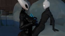 Hornet (Hollow Knight) Rule 34 Image