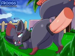 1boy 1girls animated anus ass behind_view big_ass big_butt big_penis blue_eyes canine canine_genitalia canine_pussy deep_penetration disembodied_penis face_down_ass_up female feral froogg game_freak huge_cock looking_back loop male nintendo open_mouth penis plap_(sound) pokemon pussy shorter_than_10_seconds shorter_than_30_seconds sound stomach_bulge tagme tail vaginal_penetration video zoophilia zorua