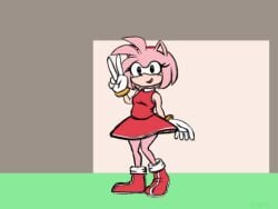 amy rose from sega by chunkyoreo