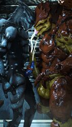 2boys 3d 3d_(artwork) alien artist_request balls big_penis bodily_fluids cum erection frottage gay genital_fluids hi_res krogan male male/male male_only mass_effect multi_balls multi_genitalia muscular muscular_male orgasm penis rooking sex shower turian video_games wet yaoi