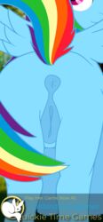 anus blue_fur colrblnd_(artist) equid equine female first_person_view friendship_is_magic fur game_(disambiguation) hi_res horse mammal my_little_pony pony presenting pussy quickietime rainbow_dash_(mlp) raised_tail screencap solo wings