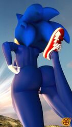 2019 3d anthro clothing eulipotyphlan female footwear genderswap genderswap_(mtf) hedgehog hi_res mammal pussy rule_63 sega sfrogue shoes solo sonic_(series) sonic_the_hedgehog sonic_the_hedgehog_(film) sonic_the_hedgehog_(series) sonique_the_hedgehog standing stretching