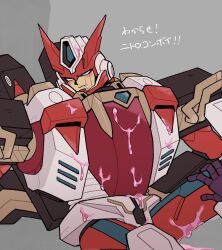 override from transformers