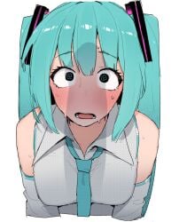 hatsune miku from vocaloid by ohasi