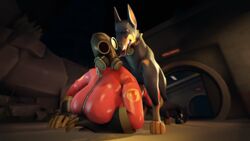 3d bestiality big_breasts bodysuit breasts canine dog doggy_style fempyro gas_mask gloves human interspecies latex penetration pyro scout sex source_filmmaker tappysfm team_fortress_2 thighhigh_boots zoophilia