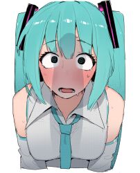 hatsune miku fan art