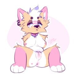 2025 anthro anus black_nose blush body_blush breasts canid canine canis charliedoggo collar collar_only digital_media_(artwork) domestic_dog feet female fur genitals hair heart_(marking) herding_dog hi_res korgs mammal markings nipples nude pastoral_dog piercing pink_body pink_collar pink_ears pink_fur pink_nipples presenting presenting_pussy pussy pussy_blush rule_63 simple_background solo spread_legs spreading tail tan_body tan_fur welsh_corgi white_body white_feet white_fur