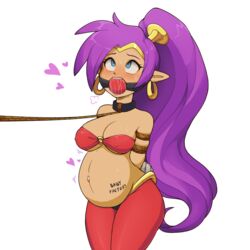 shantae (character) from shantae by negitivess