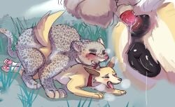 absurd_res anal anal_rape anal_sex animal_genitalia animal_penis animal_vulva anus anus_focus asphyxiation ass balls big_dom_small_sub blush bodily_fluids butt_focus canid canine canine_genitalia canine_vulva canis choking close-up collar collar_pull cum cum_drip cum_in_ass cum_inside domestic_dog dominant dripping dripping_pussy duo felid feline_genitalia feline_penis female feral feral_on_feral feral_penetrated feral_penetrating forced from_behind_position genital_fluids genital_focus genitals hi_res husky interspecies larger_male male male/female mammal naatalya_(lykaan) nordic_sled_dog open_mouth overwhelmed pain pantherine penetration penile_spines penis plump_labia pussy questionable_consent rape rough_sex sex size_difference snow_leopard spitz squaresville tears teeth vaginal_fluids vulva vulva_focus