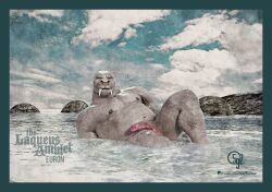 5ive9ine2wo animal_genitalia anthro aroused balls bodily_fluids cloud genital_fluids genitals hi_res in_heat inviting inviting_to_sex inviting_viewer looking_at_viewer male mammal marine muscular muscular_anthro muscular_male navel nipples nude offering_sex offering_to_viewer pecs penile penis pinniped pose red_penis rock sea sky slime smile smooth_skin solo swollen_penis tempting tusks walrus water wet whiskers