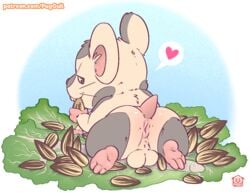 anus balls cricetid detailed_background eating hamster hamtaro_(series) heart lettuce looking_at_viewer male male_only mammal oxnard presenting puggy raised_tail rodent salad solo sunflower_seed whiskers