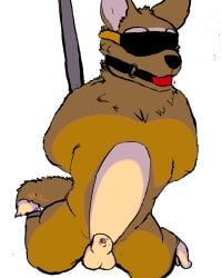 animal_genitalia animal_penis anthro ball_gag blindfold bodily_fluids bondage bondage bound bowman_ween_(artist) canid canine canine_genitalia canine_penis canis dripping ethiopian_wolf fifa gag genital_fluids genitals hi_res knot male mammal mascot penis penis_tip pole precum precum_drip presenting questionable_consent restraints slightly_chubby solo spreader_bar suspension zabivaka