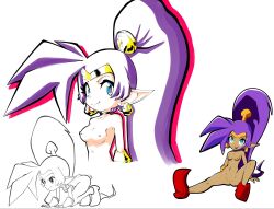 shantae (character) from shantae by pixelboy