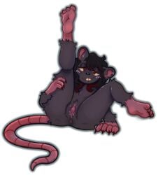 alpha_channel anthro bodily_fluids claws dahlia_(phantomhugz) ear_piercing female finger_claws fur genital_fluids genitals hi_res leg_grab looking_at_viewer mammal murid murine nude phiishstix piercing presenting presenting_pussy pussy raised_leg rat rodent simple_background smile solo tail toe_claws transparent_background vaginal_fluids