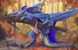 ass balls black_claws blep blue_membrane claws detailed_background dragon erection feral forest forest_background genitals grass green_eyes hi_res hollyvardia knot looking_at_viewer male membrane_(anatomy) membranous_wings mythological_creature mythological_scalie mythology nature nature_background penis pink_knot pink_penis pink_tongue plant purple_membrane rock scales scalie solo tapering_penis tongue tongue_out tree ventral_scales wings