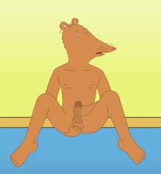 anal anal_masturbation anthro anus arthur_(series) ass balls bottomless clothed clothing erection fingering humanoid_penis looking_at_viewer male male_only masturbation nigel_ratburn nude penis solo