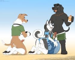 4_toes 5_fingers animal_genitalia animal_penis anthro anthro_on_anthro ass ball barefoot beach beach_ball bird_dog black_body black_fur black_nose bodily_fluids bottomless bottomless_anthro bottomless_male breasts brown_body brown_fur camera canid canine canine_genitalia canine_penis canis clothed clothing collie cum cum_covered domestic_dog erection feet female fingers fur genital_fluids genitals group hana_(jishinu) herding_dog hi_res hindpaw humanoid_feet hunting_dog husky inflatable jishinu kneeling knot labrador male male/female mammal messy nordic_sled_dog one-piece_swimsuit open_mouth open_smile pastoral_dog paws penis plantigrade retriever semi-anthro sheepdog smile smooth_collie spitz standing swimming_trunks swimming_trunks_down swimwear toes tongue tongue_out topless topless_anthro topless_male trio white_body white_fur
