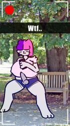 anthro bench big_breasts breasts camera_view clothed clothing electronics felid feline female futanari grey_body hi_res huge_breasts humanoid intersex intersex/female knot mammal molly_(squishyskunk) nipple_outline partially_clothed phone phone_view public public_exposure solo squishyskunk thick_thighs