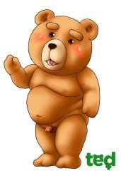 2017 anthro bear blush brown_eyes genitals hi_res male mammal navel nipples penis plushie ted_(film) ted_(ted) teddy_bear tianzhon universal_studios