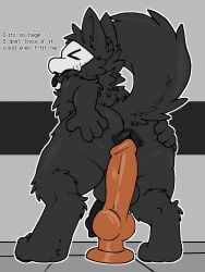 .xil0. absurd_res animal_genitalia animal_penis anthro anus ass balls butt_grab canine_genitalia canine_penis changed_(video_game) dark_latex dildo fluffy fluffy_tail genitals glistening glistening_anus glistening_body glistening_dildo glistening_sex_toy goo_creature grab_the_butt hand_on_butt hi_res knot knotted_dildo latex latex_creature living_latex male male_focus male_only mask penis puffy_anus puro_(changed) raised_tail sex_toy simple_background solo spread_butt spreading tail text