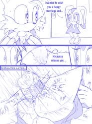 age_difference anthro anthro_on_anthro anthro_penetrated anthro_penetrating anthro_penetrating_anthro anus balls bodily_fluids cream_the_rabbit erection fox miles_prower rabbit sega sheecktor sonic_(series) tagme tails