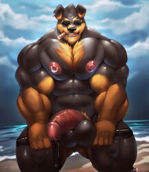 2019 abs absurd_res anthro aviators balls beach big_balls big_penis canid canine canis chest_fur cigar cursedmarked detailed_background dobermann domestic_dog ear_piercing eyewear hi_res looking_at_viewer male male_only mammal muscular muscular_male navel nightstick nipple_piercing nipples nude open_mouth open_smile pecs penis piercing pinscher rennin seaside smile solo sunglasses thick_thighs vein veiny_penis