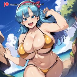 bulma briefs from dragon ball by castle12