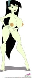 areolae big_breasts breasts disney disney_channel dk female hairless_pussy innie_pussy kim_possible milf miss_go nipples nude riffsandskulls ring shaved_pussy shego solo wedding_ring