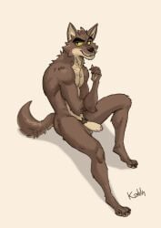 anthro brown_body brown_fur canid canine canis digital_media_(artwork) dreamworks erection foreskin fur genitals hi_res humanoid_genitalia humanoid_penis kahlu looking_at_viewer male mammal mr._wolf_(the_bad_guys) nude partially_retracted_foreskin penis pubes simple_background sitting smile solo tail the_bad_guys white_background wolf