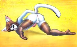 2019 anthro ass balls clothing dantae_meoi domestic_cat erection felid feline felis fur girly hair humanoid_penis legwear long_hair male mammal penis simple_background socks solo tantlysa white_fur