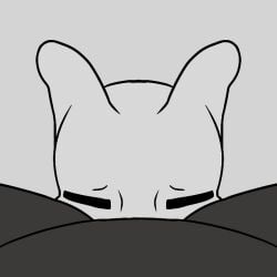 1:1 ambiguous_focus ambiguous_gender ambiguous_penetrated animated black_body black_fur duo eevee fellatio feral fur generation_1_pokemon greywolfie legendary_pokemon male mewtwo miles_eon nintendo oral penetration penile pink_body pokemon pokemon_(species) sex