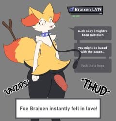 braixen from nintendo by froogg