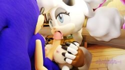 1boy 1girls 3d 3d_(artwork) anthro anthro_female anthro_male anthro_only areolae bell bell_collar blowjob blue_eyes blue_fur breasts breasts_out caprine clothed_female clothing cock collar dialogue dick duo english_dialogue english_text erection eulipotyphlan fellatio female fur furry furry_female furry_male gloves green_eyes hedgehog idw_publishing lanolin_the_sheep male male/female mammal nipples oral oral_sex paizuri paizuri_fellatio penis penis_between_breasts sega sex sheep sheep_girl sheep_horns sonic_(series) sonic_the_hedgehog sonic_the_hedgehog_(comics) sonic_the_hedgehog_(idw) sonic_the_hedgehog_(series) ssawnds sucking sucking_penis text titjob tongue tongue_on_penis tongue_out tongue_out_blowjob white_fur white_gloves wool_(fur)