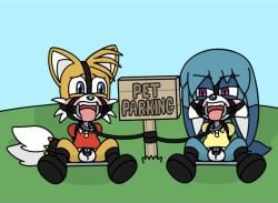 annoyed anthro armbinder binder_(restraint) blue_body blue_eyes blue_fur blush bondage bondage_gear boots bound canid canine chastity_cage chastity_device chibi clothing collar collared_shirt duo fennec_fox footwear fox fur gag grass halter harness_gag hi_res idw_publishing kitsunami_the_fennec leash male male/male mammal nervous_look orange_body orange_fur petplay plant polo_shirt purple_eyes restraints ring_gag roleplay sega shirt shoes shortstack sign sonic_(series) sonic_the_hedgehog_(comics) sonic_the_hedgehog_(idw) sonic_the_hedgehog_(series) spreader_bar tails tails_the_fox topwear true_fox white_body white_fur zxc14
