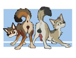 absurd_res anatomically_correct anatomically_correct_genitalia anus balls butt canid canine canis cookie coyote duo female feral food genitals hi_res koidelcoyote looking_at_viewer male male/female mammal presenting presenting_hindquarters raised_tail tail yops_(psychedelicyops)