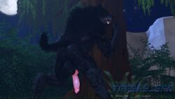 16:9 3d_(artwork) 4k absurd_res anthro anus ass ass_up balls big_balls big_penis breath canid canine canis digital_media_(artwork) erection forest fur genitals hair hi_res huge_balls knot knotted_penis male male/male mammal moon mythological_canine mythological_creature mythology night nude outside panting penis plant solo source_filmmaker_(artwork) tail teeth tongue trashy_sfm tree werecanid werecanine werecreature werewolf widescreen wolf