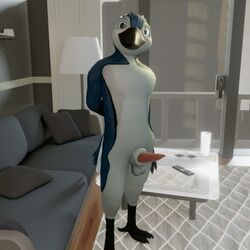 1:1 3d animal_genitalia animated anthro avian balls beak bird blue_jay blush corvid digitigrade erection feathers jay_(bird) jigglebonez male male_only new_world_jay nude penis sheath solo standing tapering_penis