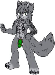 2019 accessory anthro ball_stretcher balls ballsack biceps black_nose canid canine canis cock_ring crown fan_character fur green_eyes green_penis hair humanoid_penis jewelry keryo_wolfe keryo_wolfe_(character) male male_only mammal muscular muscular_male nude pecs penis penis_accessory penis_jewelry scrotum smile snowyowlkonnen solo sonic_(series) wolf