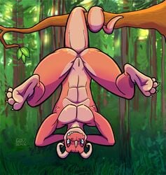 2019 5_toes 60percentscalie animal_genitalia anthro ass athletic barefoot blue_eyes branch claws detailed_background dewclaw feet foot_focus forest genital_slit grass grin half-closed_eyes hanging_by_tail hanging_from_branch hanging_from_tree hi_res horn lizard looking_at_viewer male male_only multicolored_scales nude outside pecs pink_scales plantigrade presenting presenting_slit reptile scales scalie slit smile smug soles solo spread_legs spreading teeth thick_tail toe_claws toes tree two_tone_scales upside-down zevrant_bapt