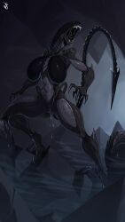 female xenomorph from alien (franchise) by dustyjcircus