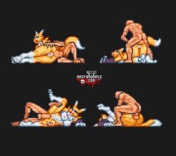 anal anthrofied digimon female huge_cock human_on_anthro human_penetrating male necronomic_con off_model penis pixel_animation pixel_art renamon straight straight_sex