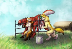 anthro anthro_on_feral avian balls becca_(fennec) canid canine castration cock_and_ball_torture cum farm female female_on_feral fennec feral fox genital_mutilation genital_torture gryphon hedgar male male_on_anthro mammal marten mustelid musteline paddock penis straight sueanoi surgery tail_binding tied_tail zoophilia