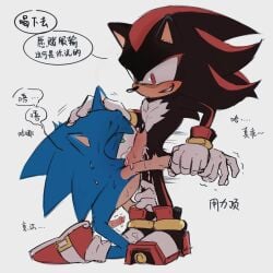 arm_pull black_body black_hair blowjob blue_body blue_hair chest_tuft cum cum_in_mouth deepthroat fellatio forced forced_deepthroat forced_oral handwear_and_footwear_only hedgehog holding_leg klpk_ji me_when mobian_(species) on_knees red_highlights shadow_the_hedgehog smirk sonadow sonic_(series) sonic_the_hedgehog sonic_the_hedgehog_(series) tears the_when two_tone_hair white_gloves wristwear
