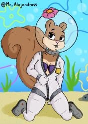 anthro black_eyes breasts brown_ears brown_fur brown_hair ears_up female female_only fur furry furry_only pink_nose sandy_cheeks spongebob_squarepants spongebob_squarepants_(series) squirrel underwear water