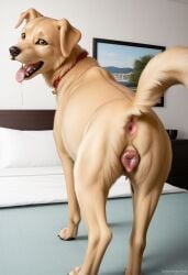 2024 ai_generated anus ass canid canine canine_genitalia canine_pussy carnivalecloudmuncher domestic_dog female female_only feral furry golden_retriever hyperrealistic in_heat lifting_tail looking_at_viewer looking_back mammal nude open_mouth photorealism photorealistic presenting presenting_anus presenting_hindquarters presenting_pussy pussy pussy_juice pussy_juice_drip pussy_juice_puddle pussy_juice_string raised_tail realism realistic rear_view seductive self_upload smile solo solo_female standing tagme tail tail_lift tongue tongue_out