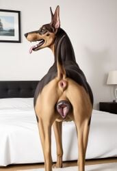 2024 ai_generated anus ass canid canine canine_genitalia canine_pussy carnivalecloudmuncher dobermann domestic_dog female female_only feral furry hyperrealistic in_heat lifting_tail looking_at_viewer looking_back mammal nude open_mouth photorealism photorealistic pinscher presenting presenting_anus presenting_hindquarters presenting_pussy pussy pussy_juice pussy_juice_drip pussy_juice_puddle pussy_juice_string raised_tail realism realistic rear_view seductive self_upload smile solo solo_female standing tagme tail tail_lift tongue tongue_out